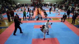 Ali Gaffar Okkan Karate Turnuvası Sakarya'da yapıldı